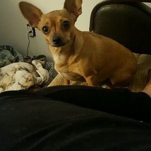 Meet your Posher, Bertha